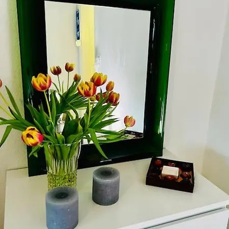 Apartment New Close To & Imd *